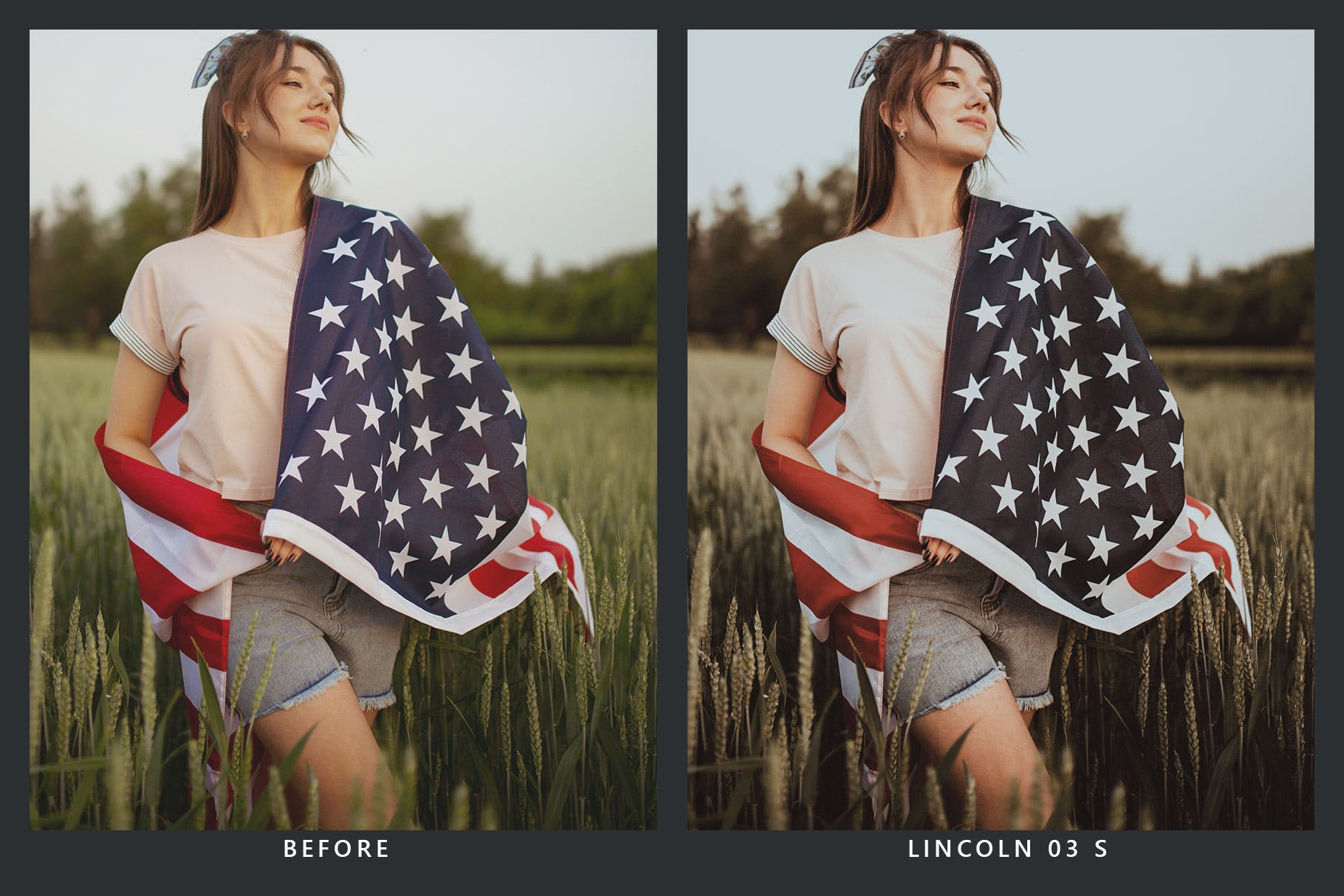 Luts调色预设-20个美国风格lr+视频调色滤镜 America Lightroom Presets & LUTs插图11