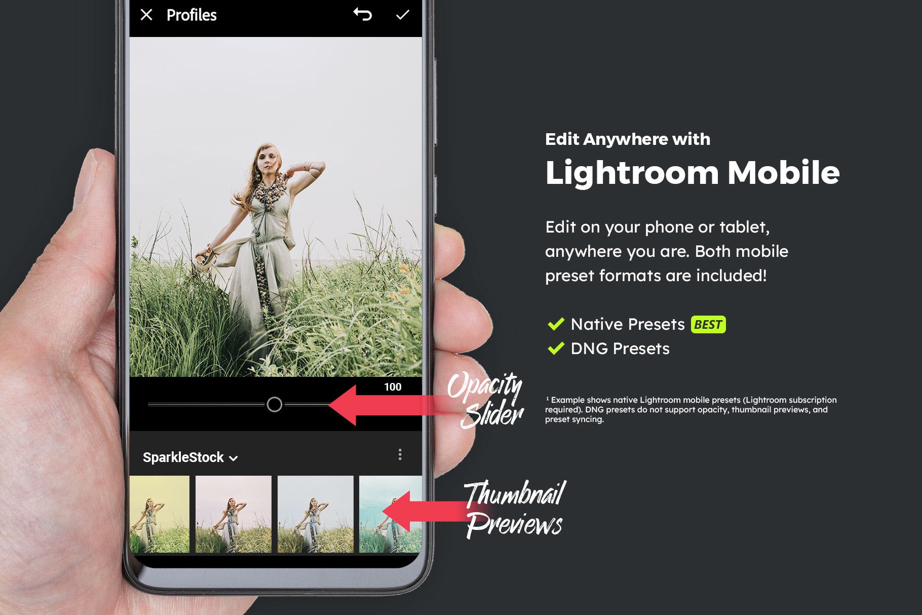 Luts调色预设-20个童话魔幻森林调色LUTs20 Fairytale Lightroom Presets & LUTs插图12