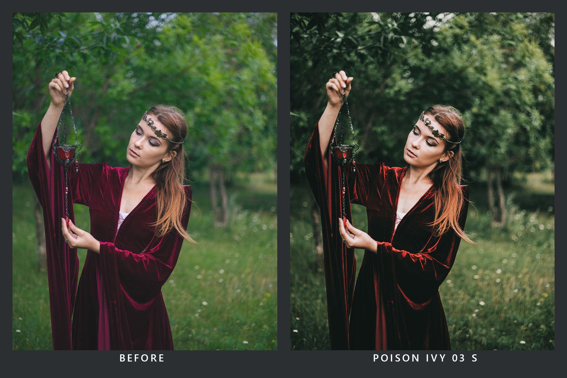 Luts调色预设-20个童话魔幻森林调色LUTs20 Fairytale Lightroom Presets & LUTs插图9