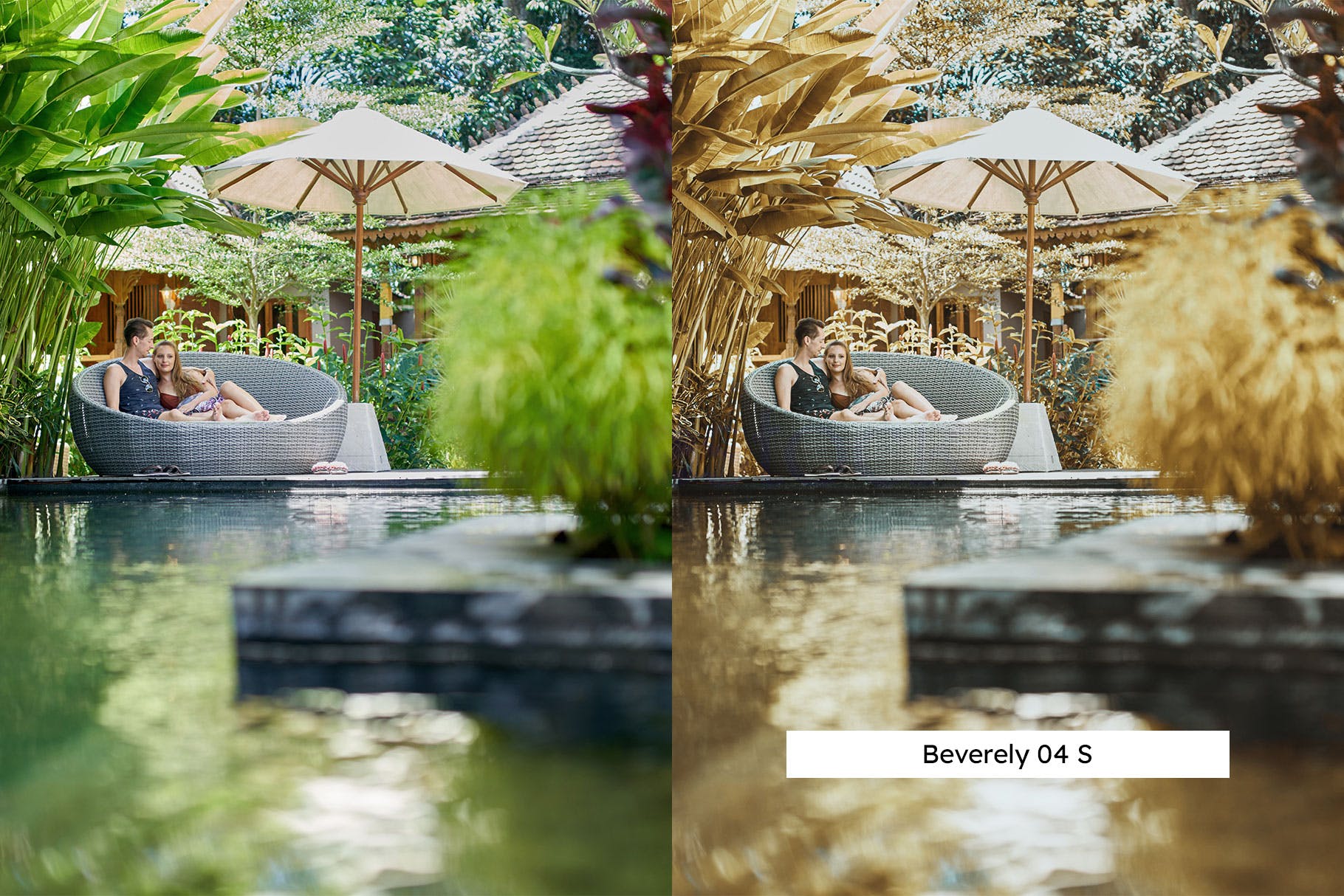 Luts调色预设-20个金色森林Lightroom预设LUTs20 Golden Forest Lightroom Presets & LUTs插图8